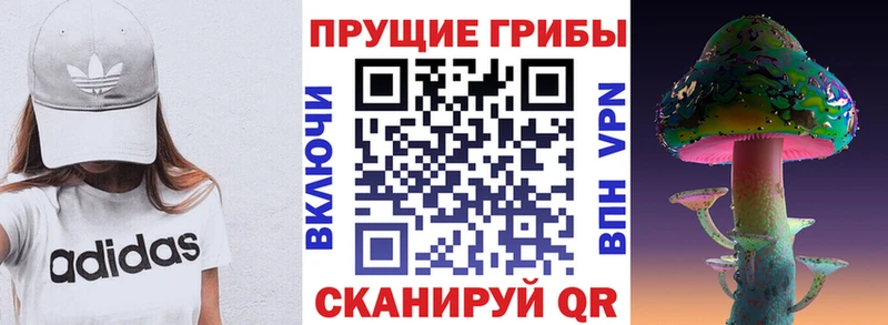 где найти наркотики  Новая Ляля  Псилоцибиновые грибы Cubensis 